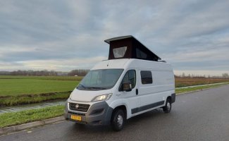 Fiat 4 pers. Rent a Fiat camper in Asperen? From €87 per day - Goboony
