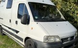 Fiat 3 pers. Rent a Fiat camper in Bilthoven? From € 73 pd - Goboony photo: 3