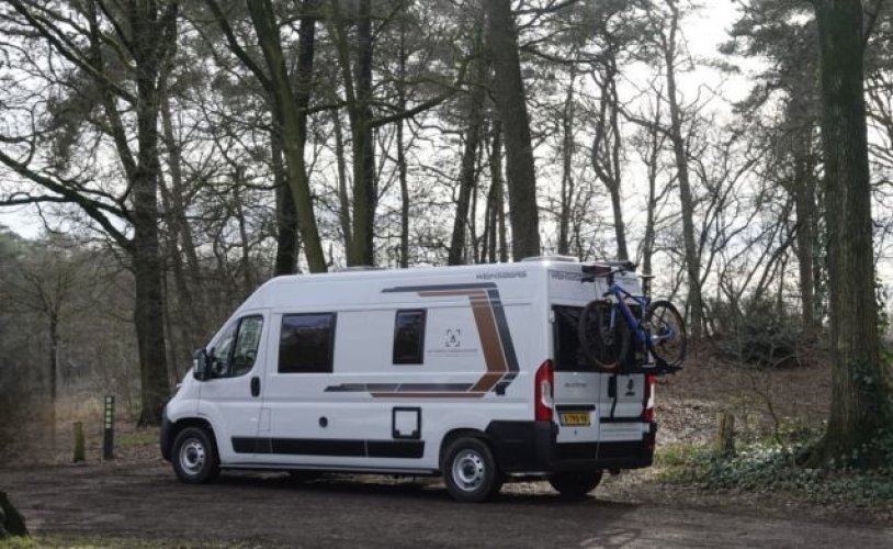 Other 3 pers. Rent a Weinsberg camper in Rijsbergen? From € 115 pd - Goboony photo: 0