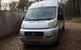 Fiat 2 pers. Rent a Fiat camper in Boekel? From € 88 pd - Goboony photo: 4