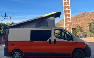 Autre 2 pers. Louer un camping-car OPEL à Amsterdam ? À partir de 121 € par jour - Goboony
