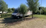 Frankia 4 pers. Rent a Frankia motorhome in Gendt? From € 73 pd - Goboony photo: 3