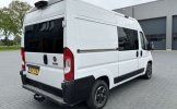 Fiat 2 pers. Rent a Fiat camper in Lemelerveld? From € 80 pd - Goboony photo: 3