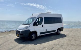 Fiat 3 pers. Rent a Fiat camper in Oosterhout? From € 56 pd - Goboony