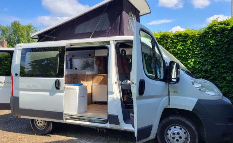 Fiat 2 pers. Rent a Fiat camper in Chaam? From € 75 pd - Goboony photo: 0