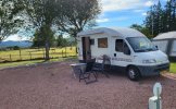Fiat 3 pers. Rent a Fiat camper in Wierden? From € 73 pd - Goboony photo: 3