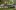 Volkswagen 2 pers. Louer un camping-car Volkswagen à Leusden ? À partir de 70 € par jour - Goboony
