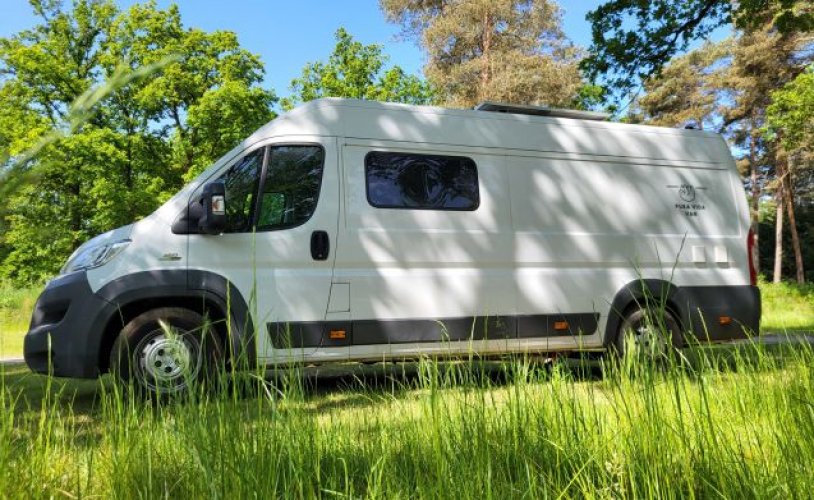 Fiat 3 pers. Louer un camping-car Fiat à Klarenbeek ? À partir de 91 € pj - Goboony photo : 0