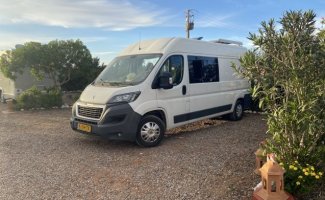 Peugeot 2 pers. Rent a Peugeot camper in Groesbeek? From €85 per day - Goboony