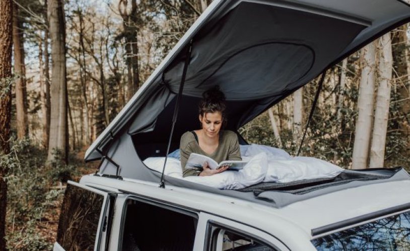 Volkswagen 4 pers. Louer un camping-car Volkswagen à Nieuw-Buin ? À partir de 85 € pj - Goboony photo : 1