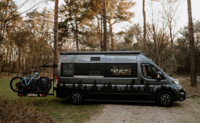 Fiat 2 pers. Rent a Fiat camper in Breda? From € 121 pd - Goboony photo: 0