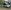 Westfalia Ford Nugget Plus 2.0 TDCI 185cv Automático | Ruedas Black Raptor con neumáticos gruesos | Bloqueo de oso |