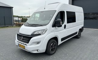 Fiat 2 pers. Rent a Fiat camper in Lemelerveld? From € 80 pd - Goboony