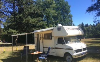Autres 4 pers. Louer un camping-car Bedford à Zwolle À partir de 96 € par jour - Goboony