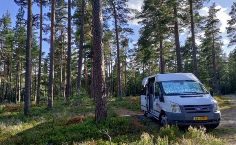 Ford 2 pers. Rent a Ford camper in Lelystad? From €64 per day - Goboony photo: 0